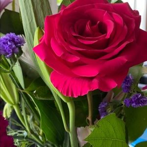 Meet your Posher, Lydia